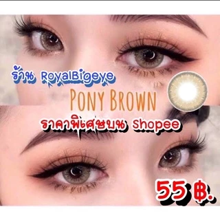 ส่งด่วนทุกวัน‼️คอนแทคเลนส์ Pony Brown - Pitchy Lens / Pretty Doll ขนาดบิ๊กอาย