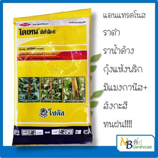 (100 g)ไดเทน เอ็นที เอ็ม-45 (Dithane NT M-45) (แมนโคเซบ ) ป้องกันและกำจัดเชื้อรา