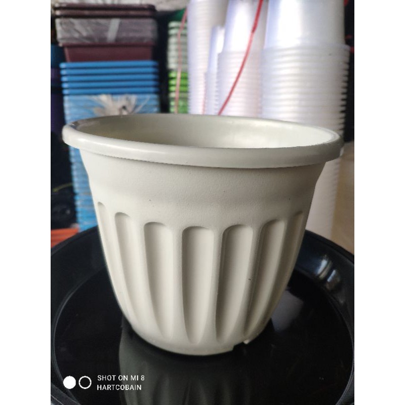กระถางโรมัน 8 นิ้ว มีหลายสี ราคาถูก มีราคาส่ง – โปรปัง