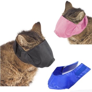 Cat Muzzles หน้ากากแมว