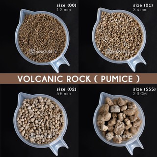 หินภูเขาไฟ Volcanic Rock (pumice)