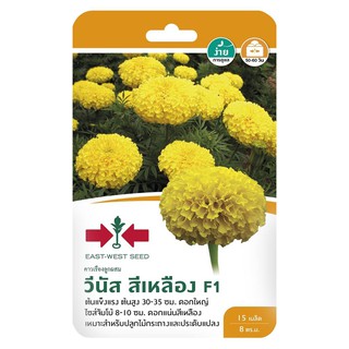 เมล็ดพันธุ์ดาวเรืองF1 วีนัส สีเหลือง MARIGOLD SEED EAST-WEST SEED VENUS YELLOW F1