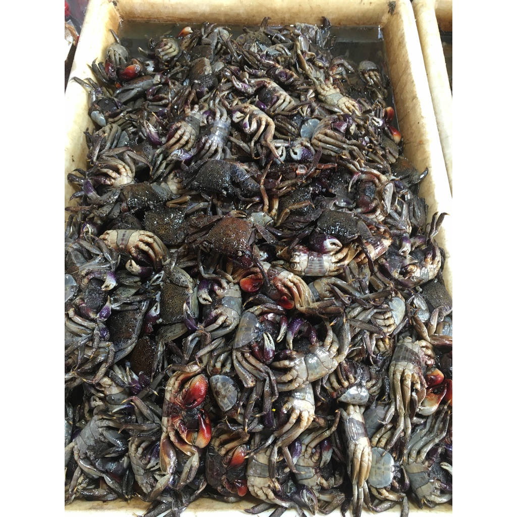 ปูดองเค็ม 500 กรัม ปูทำส้มตำ ตัวเล็ก ตัวใหญ่