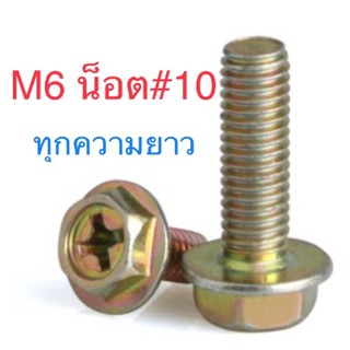 สกรูติดแหวน M6 ( น็อตเบอร์10 ) มีหลายขนาด จำนวน 10ตัว