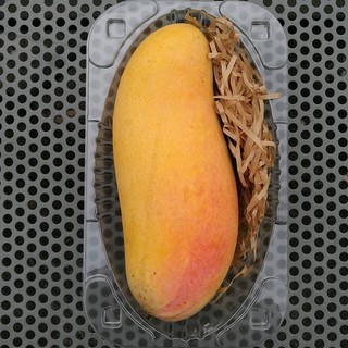 มะม่วงมหาชนก คัดเกรด คัดไซส์ หวาน หอม ส่งตรงจากสวน