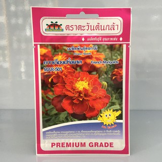 ดาวเรืองฝรั่งเศษ 501 F3 ตะวันต้นกล้า