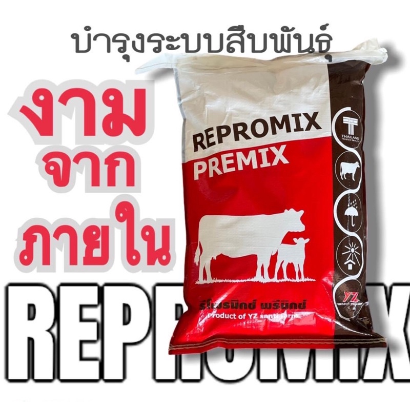 (รรีโพรมิกซ์_พรีมิกซ์ อาหารวัว อาหารเสริมสำหรับวัว Repromix Premix ช่วยในเรื่องระบบสืบพันธุ์