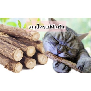 ไม้ทาทามาบิ ไม้กัด แคทนิป กัญชาแมว  catnip แท่งแคทนิป สำหรับน้องแมว ของเล่นแมว