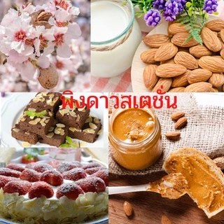 💕keto💕 แป้งอัลมอนด์USA เกรดพรีเมียม ทำมาการองได้ ใช้แทนแป้งสำหรับทำขนมคีโตโลคาร์บได้ เนื้อละเอียดไม่มีกลิ่นหืน