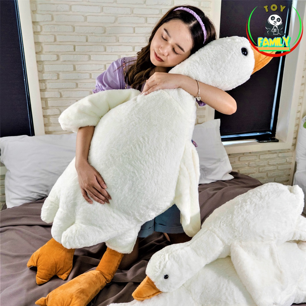 รูปภาพ 5