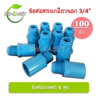 100 ตัว ข้อต่อตรงเกลียวนอก ข้อต่อตรงเกลียวใน 3/4  6หุน ข้อต่อท่อเกษตร ต่อเกลียวนอก เกษตร ระบบน้ำในสวน