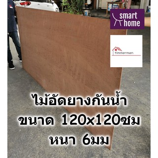 ไม้อัดยางกันน้ำ ขนาด 120x120ซม หนา 6มม - ไม้อัด อัดยาง ไม้อัดกันน้ำ กันชื้น อัดยางกันน้ำ