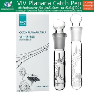 กับดักพลานาเรีย ที่ดักพลานาเรีย VIV Glass Planaria Trap Pest Trap Worm Leech Planaria Catch Catcher สำหรับตู้ปลา