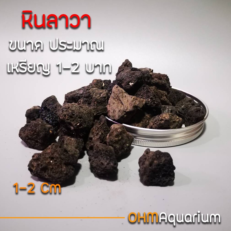 หินลาวาดำ หินพันต้นไม้ หินภูเขาไฟ หินรองตู้ปลา หินรองกระถางต้นไม้