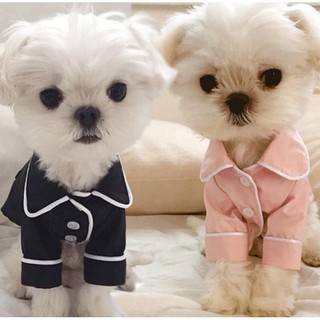 ✉✲เสื้อผ้าสุนัขชุดนอนฤดูร้อนแบบบาง Teddybi Bear Pomeranian Small Dog เสื้อผ้าฤดูใบไม้ผลิและฤดูใบไม้ร่วง Pet Cute Cat Clo