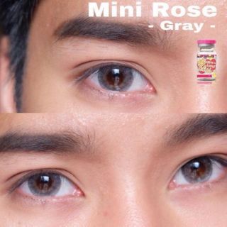 kitty kawaii คอนแทคเลนส์ รุ่น Mini Rose เลนส์กรองแสง กันยูวี