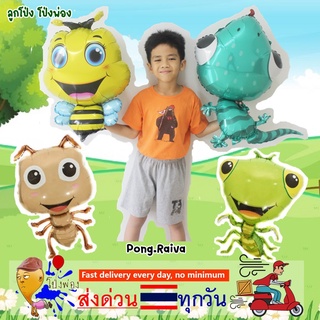 ลูกโป่งสัตว์ animal balloons ลูกโป่งผึ้ง ลูกโป่งสัตว์ป่า ลูกโป่งตั๊กแตน ดอกเดซี่ ลูกโป่งมด ลูกโป่งตุ๊กแก