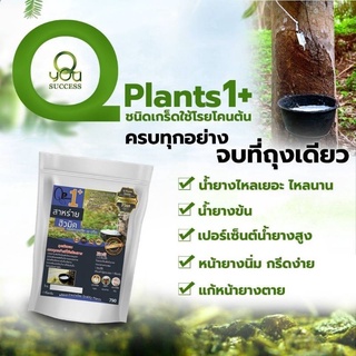 Q Plans 1+ ปุ๋ยบำรุงต้นไม้สูตร1  ทุเรียน ปาล์ม ยางพารา เพิ่มผลผลิตและคุณภาพของต้นพืช