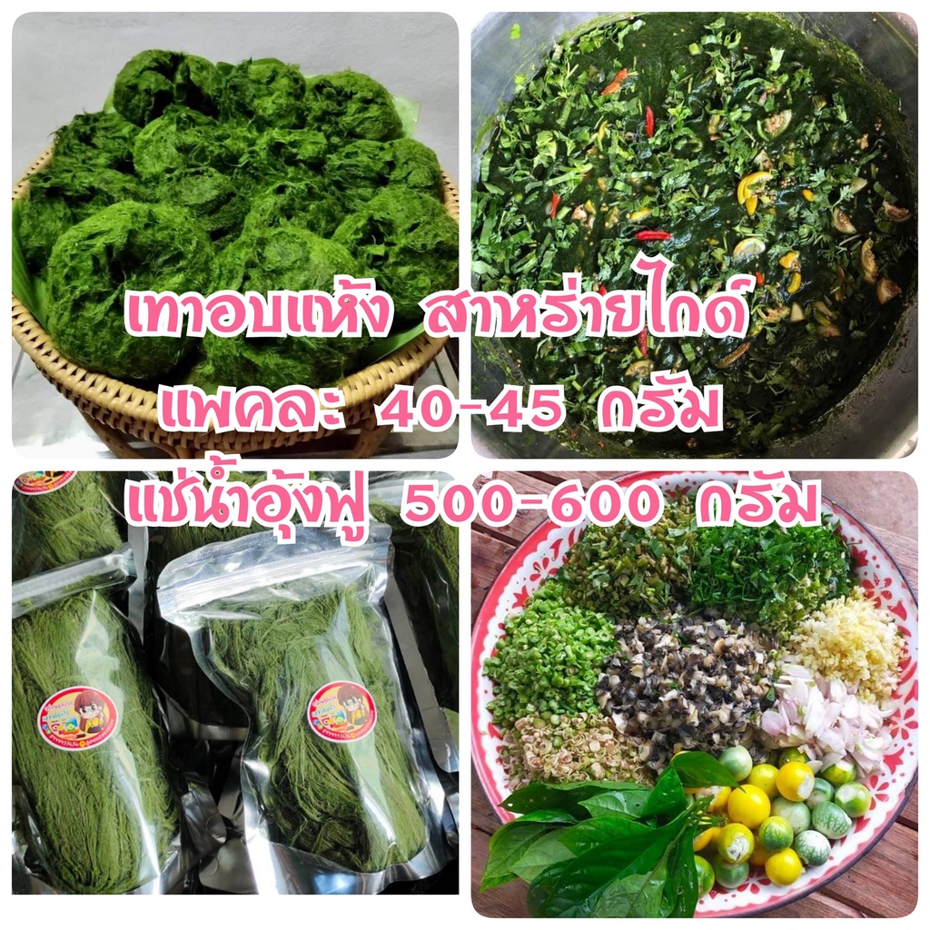 ( พร้อมส่ง) เทา สาหร่ายไกด์ ( 30-35 gm.) เทาอบแห้ง ของใหม่ แช่น้ำแล้ว ได้เนื้ออุ้มน้ำฟูเยอะมากๆ สดเหมือนใหม่