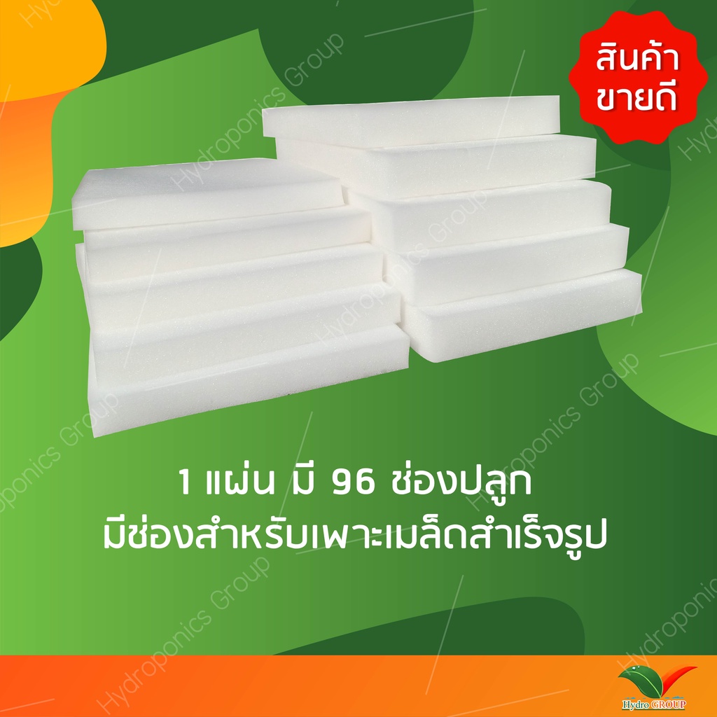 ฟองน้ำปลูกผักไฮโดรโปนิกส์คุณภาพดี  5  แผ่น by hydroponicgroup ราคา ถูกที่สุด ดีลบีเคเค แกลเลอรีภาพที่ 2