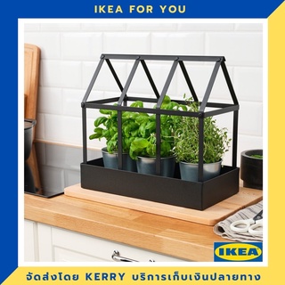 IKEA ที่วางกระถางต้นไม้ มาใหม่ !!!