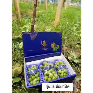 🍇องุ่นไชมัสคัต นกแก้วพรีเมียม🦜 รุ่น 3ช่อ ฝาครอบ ใหญ่พิเศษ คัดไชส์