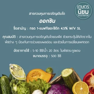 ออกซิน (กรด 1-แนฟทิลอะซีติก 4.5% W/V SL) 500 ซีซี