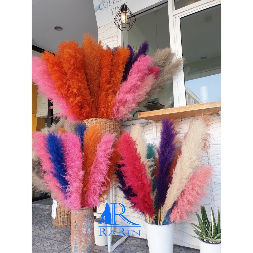 Rarin ดอกเลา ย้อมสี(หลากสี) 1ก้าน ‼️พร้อมส่ง‼️ขนาด 90-100 cm.ดอกรวมก้าน ดอกไม้ธรรมชาติ ดอกฟุ้งฟิ้ง ราคา ถูกที่สุด ดีลบีเคเค แกลเลอรีภาพที่ 7