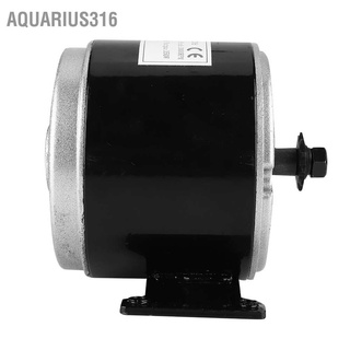 Aquarius316 มอเตอร์แปลงโลหะ 24V 350W ทนทาน สําหรับสกูตเตอร์ไฟฟ้า เซิร์ฟ ขนาดเล็ก