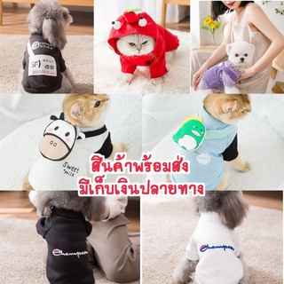 เสื้อหมา เสื้อแมว ชุดสัตว์เลี้ยง