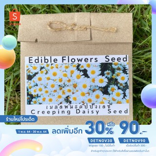 🔥ใส่โค้ด DETNOV เหลือ 23.-🔥 เมล็ดพันธ์ุดอกคีปปิ้งเดซี่ ดอกไม้กินได้ Creeping Daisy seed edible flowers