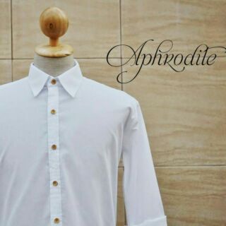 Oxford Shirt