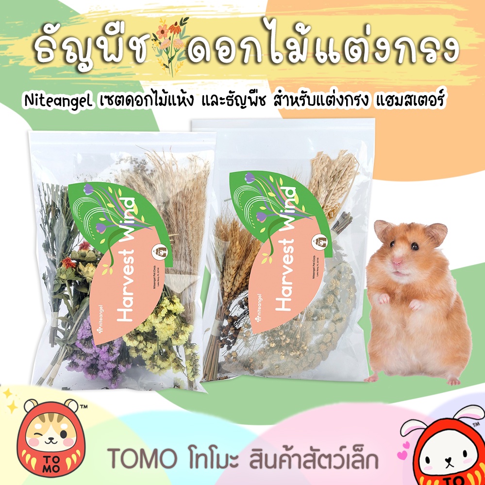 ร้านโทโมะ 💕 เซตธัญพืช ดอกไม้แห้ง Niteangel, Bucatstate, Sweet Sugar แต่งกรงหนูแฮมสเตอร์ ข้าวฟ่าง แฟล็กซีด ช่อข้าวโอ๊ต