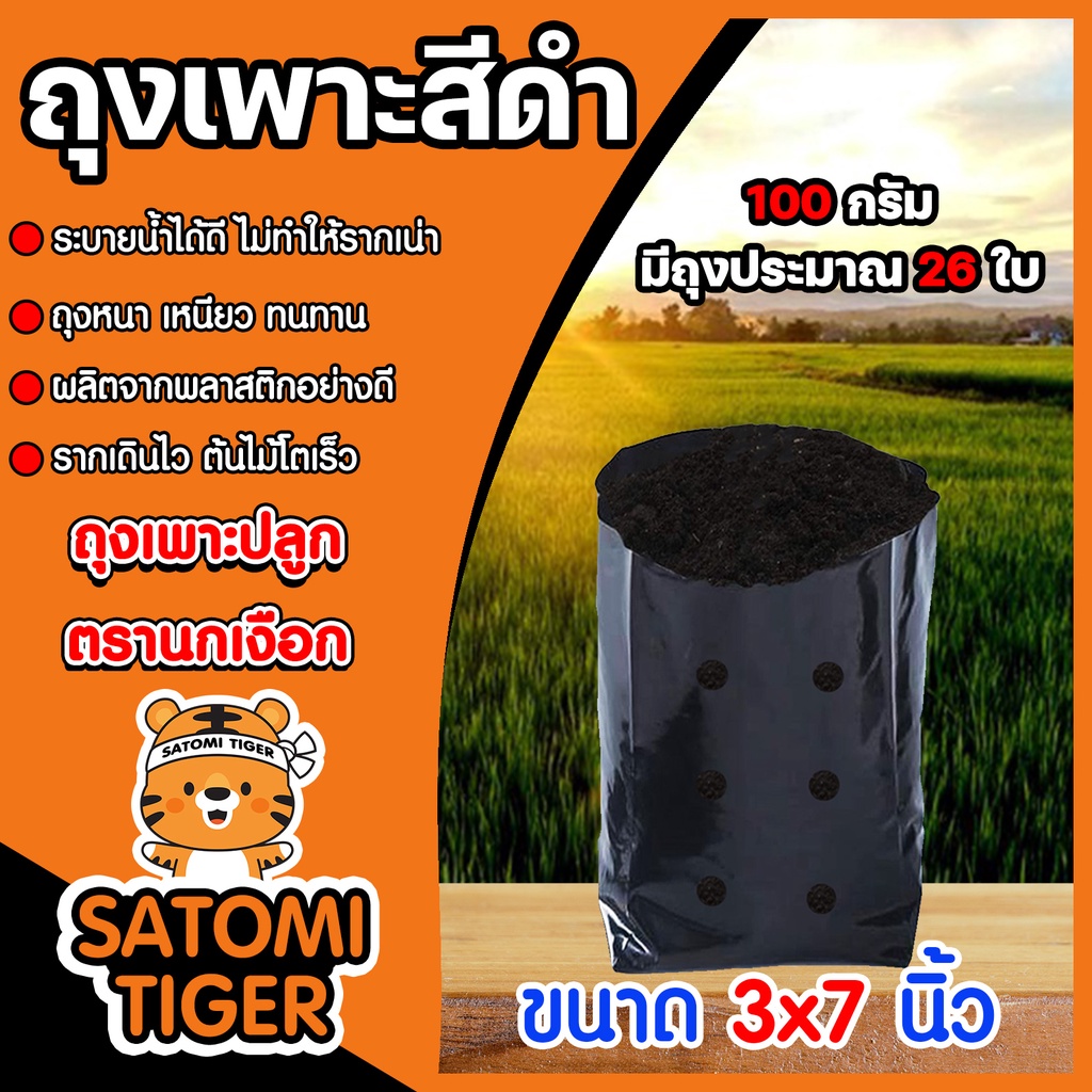ถุงเพาะกล้า มีให้เลือก 4 ขนาด หนัก 100 กรัม ถุงปลูก เพาะชำ เพาะปลูก ปลูกต้นไม้ ดำปลูกต้นไม้