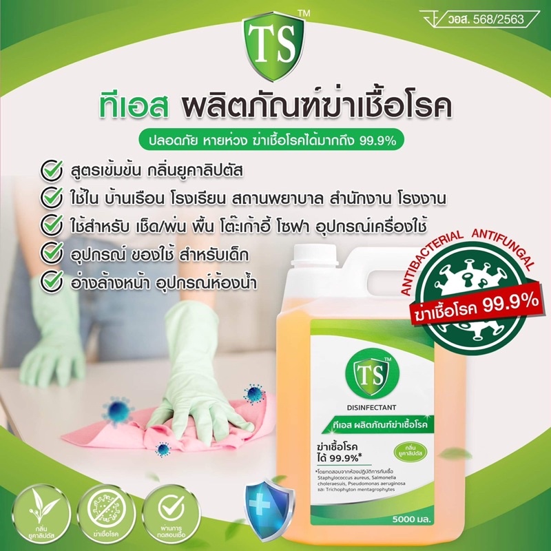 TS Disinfectant 5000 ml.