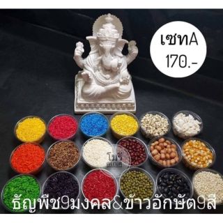 ข้าวอักษัต9สีและธัญพืช9มงคล