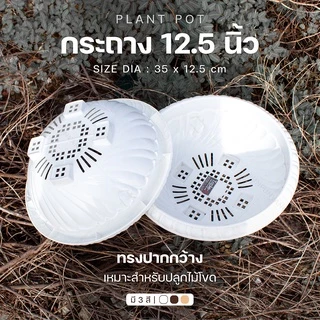 กระถางต้นไม้ 12.5 นิ้ว ทรงปากกว้าง กระถางพลาสติก เหมาะสำหรับปลูกไม้โขด กระถางทรงตื้น ระบายน้ำได้ดี Triple-p #897