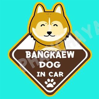 DIC59 สติ๊กเกอร์ ติดรถ หมาบางแก้ว Thai Bangkaew Dog In Car สติ๊กเกอร์ติดรถ car sticker