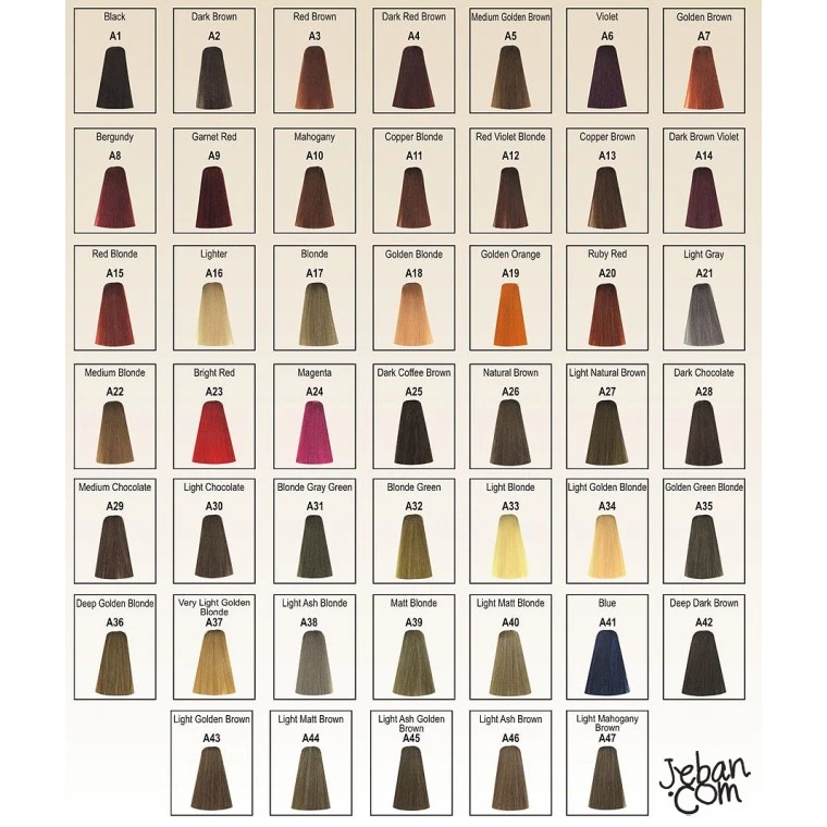 Berina Hair Color สีย้อมผม 47 เฉดสี ปิดผมขาว ติดทนนาน thumbnail 9