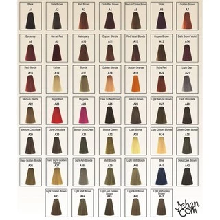 ถูกสุด!แท้💯%Berina Hair Color เบอรีน่า สีย้อมผม สีผมเบอริน่า 47เฉดสี เปล่งประกาย ติดทนนาน ปิดผมขาว