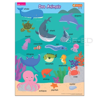 โปสเตอร์พลาสติก Sea Animals (Talking Pen)