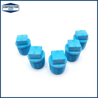 ปลั๊ก อุด PVC พีวีซี เกลียว นอก หนา-ฟ้า ตราช้าง ขนาด 1/2" #VALVE PLUG-WS B (5ตัว/แพค)