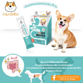 *ท้องเสีย ท้องผูก* Sun Wonder Daily Gut Booster ผงโพรไบโอติกเสริมสมดุลระบบย่อยอาหาร 20 กรัม สำหรับสุนัข ยกกล่อง