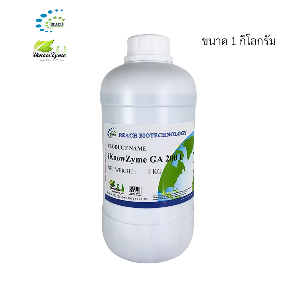 iKnowZyme GA 200 L เอนไซม์กลูโคอะไมเลส ขนาด 1 กิโลกรัม