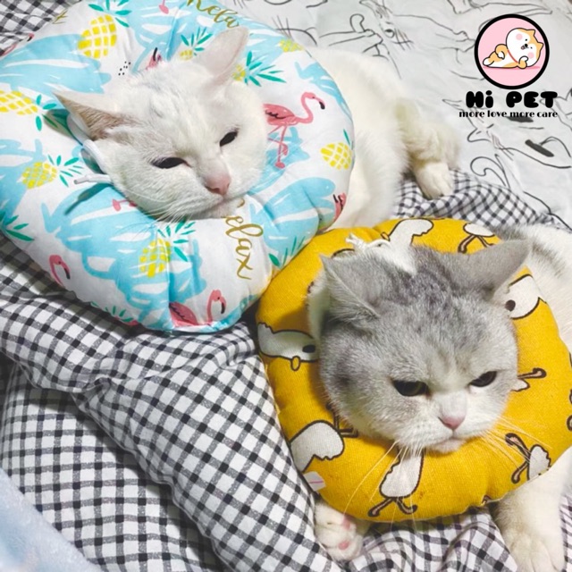 พร้อมส่งจากไทย ปลอกคอกันเลีย สำหรับสัตว์เลี้ยงแมวและสุนัข คอลล่า