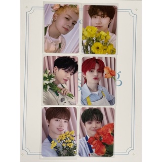 💐พร้อมส่ง💐การ์ด BLOOMING  เบเนฟิต weverse การ์ด BLOOMING welcomebook random