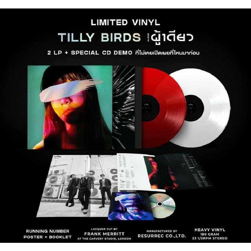 TILLY BIRDS VINYL - ผู้เดียว พร้อมส่ง