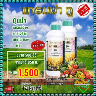 💥ส่งฟรี 💥แกรมม่าทู ปุ๋ยน้ำแกรมม่าทู [ 500 ซีซี 2 ขวด ] เร่งการเติบโต เร่งผล ฉีดพ่นตั้งแต่เริ่มปลูก ถึงช่วงเก็บเกี่ยว