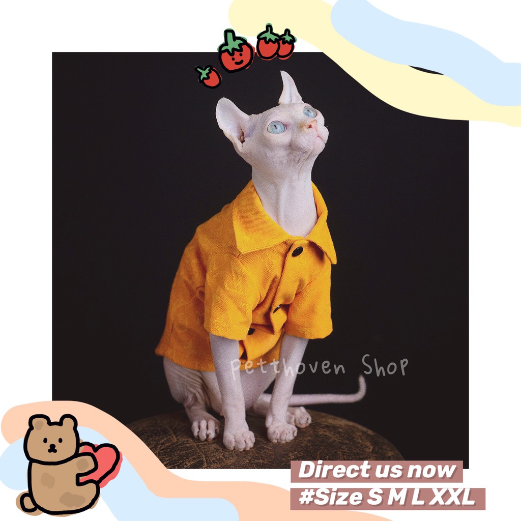 [ภาพจริง] Denim LV แบบมาตรฐานสําหรับแมว - ฟรีแว่นตาแฟชั่นสําหรับ Boss - เสื้อ Cat