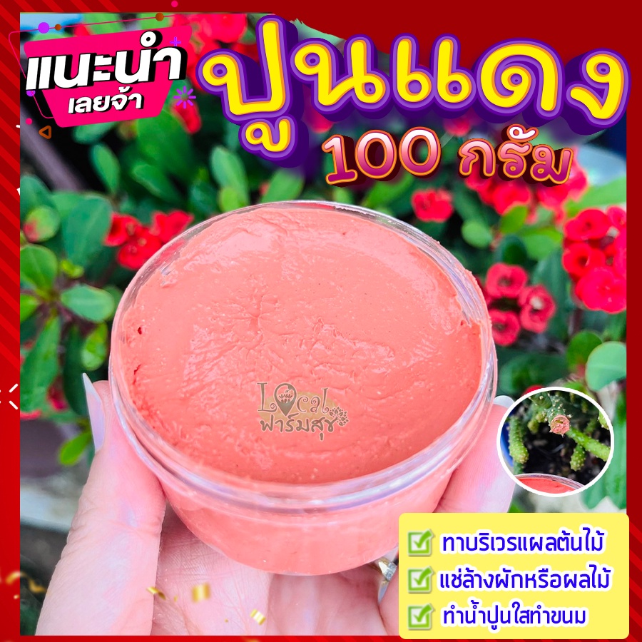 ปูนแดง (Red Lime) 100 กรัม ปูนแดงทาแผลต้นไม้ ปูนแดงทาต้นไม้